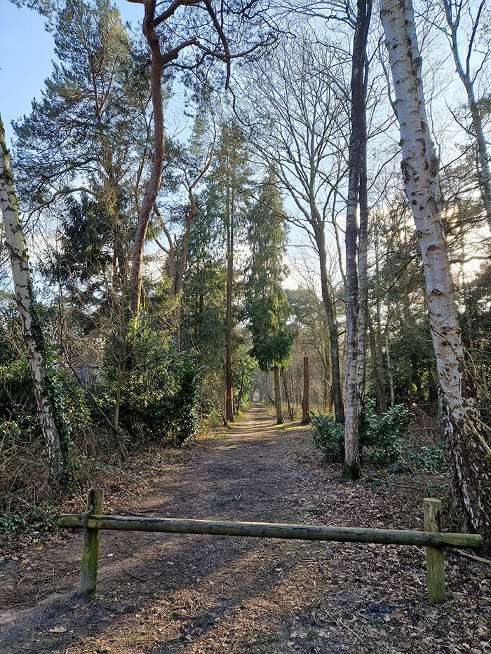 Samsung Galaxy S22 camera telelens