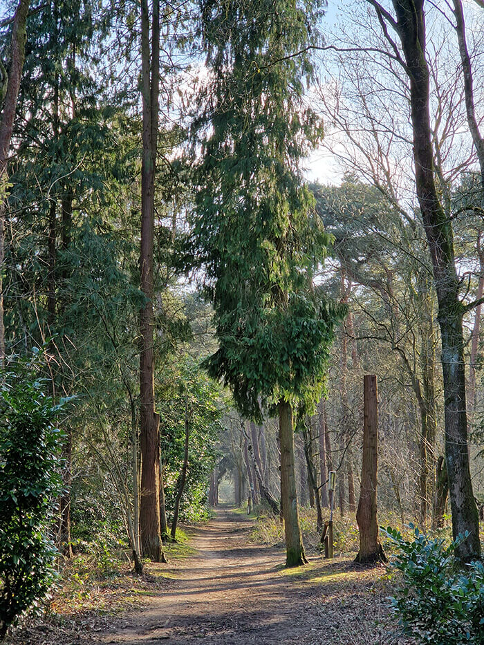 Samsung Galaxy S22 camera telelens