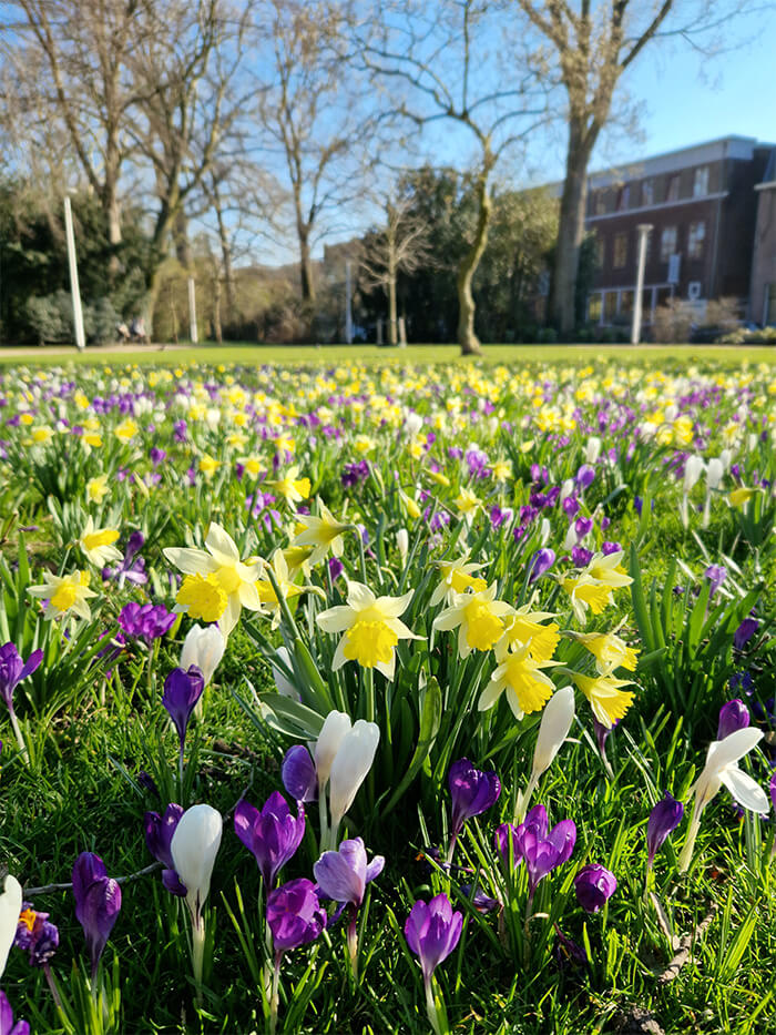 portet functie Samsung S22 camera