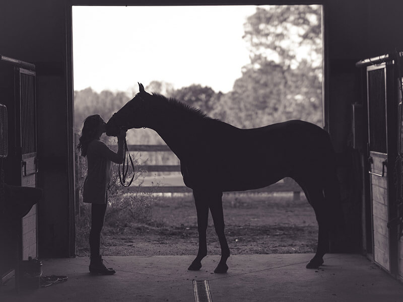 paard met model fotograferen