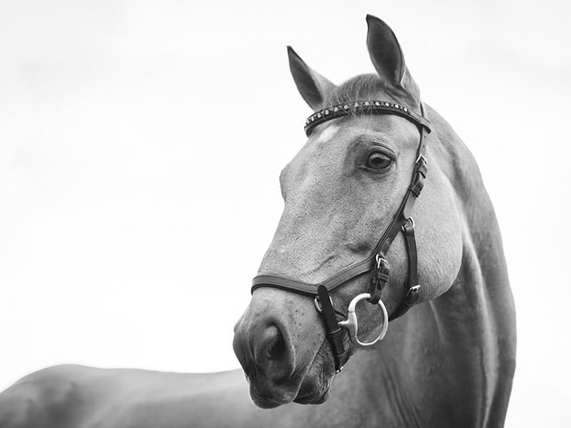 beginner fotografie