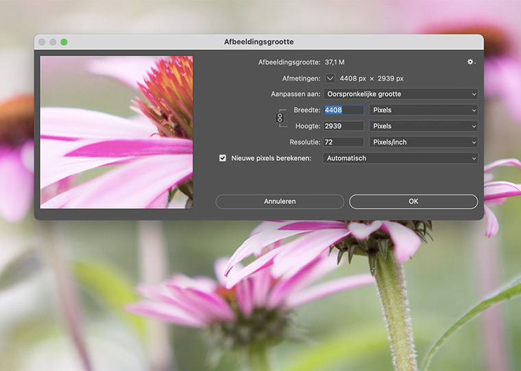 FF_foto-kleiner-maken_tutorial-photoshop_01 afbeeldingen kleiner maken