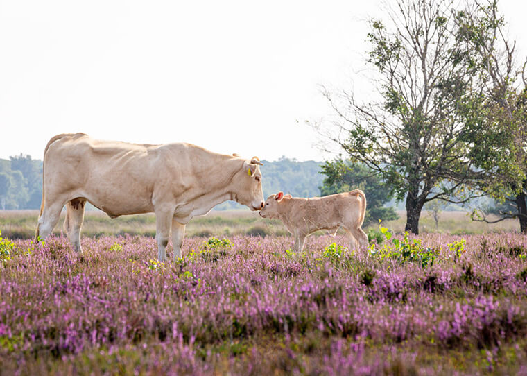 FF_fotograferen-in-september fotograferen in september