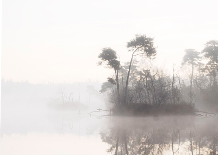 FF_high-key-fotografie_1 high key fotografie