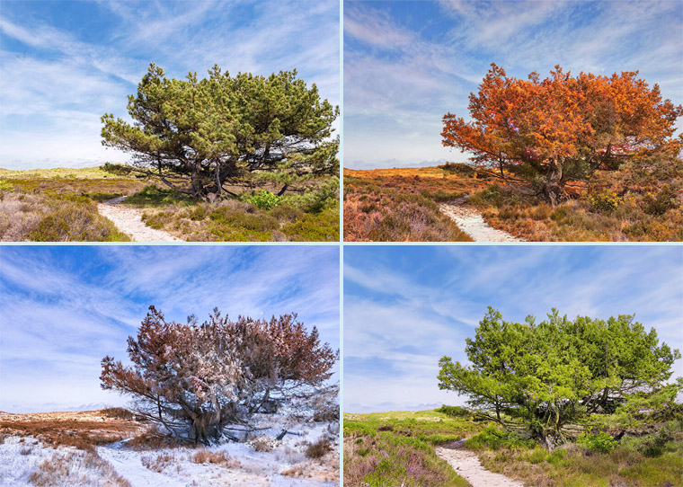 FF_foto-seizoen-omzetten-photoshop_1 landschap omzetten ander seizoen