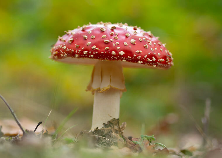 FF_fotograferen-in-oktober fotograferen in oktober