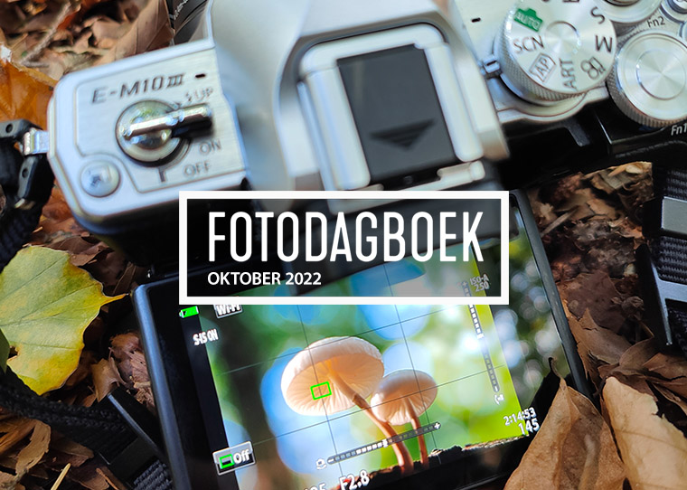 Fotodagboek oktober 2022