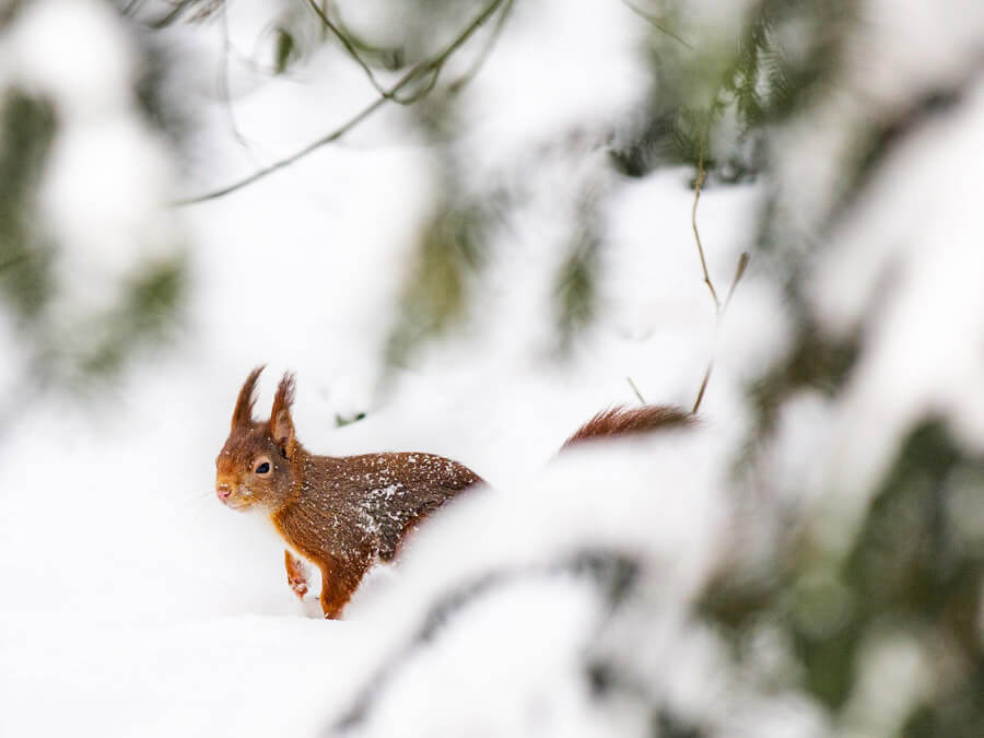 FF_winter-fotografie-tips_1 winter fotografie tips