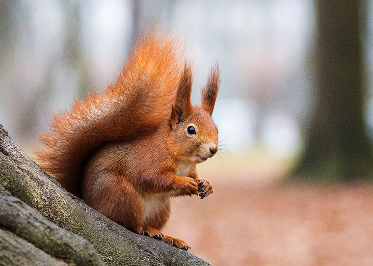 Overnachten in de natuur