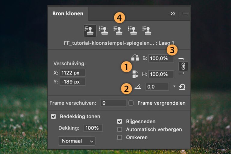 tutorial kloonstempel spiegelen in Fotografille