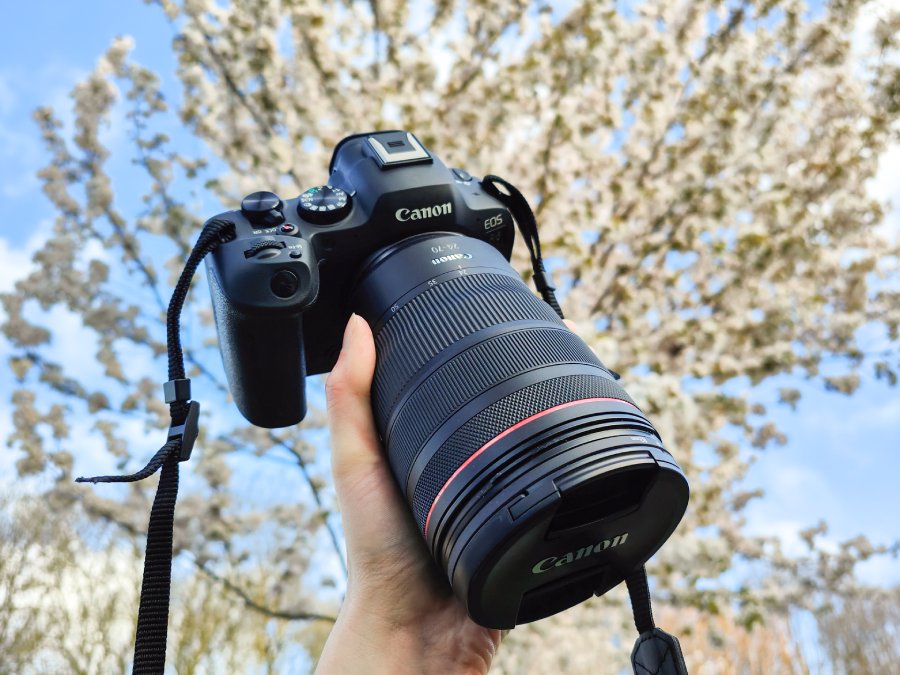 kreupel Zeep magneet Review – Canon EOS R6 Mark II systeemcamera - Fotografille