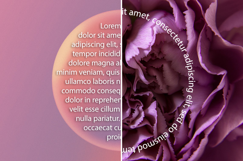 FF_photoshop-tutorial-tekst-in-cirkel-vorm tekst in cirkel photoshop