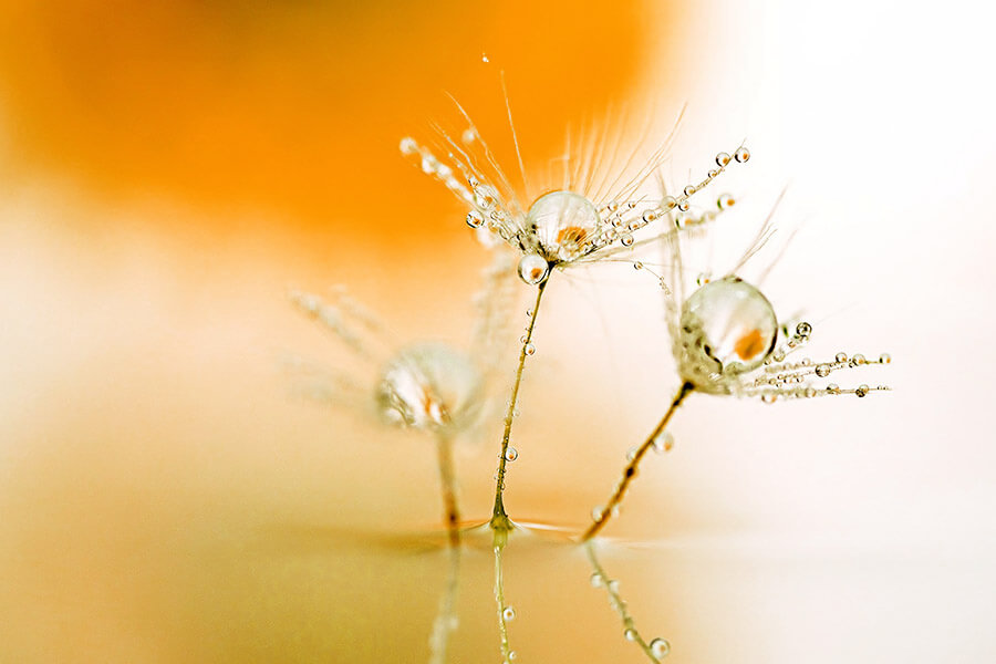 FF_fotograferen-in-mei fotograferen in mei