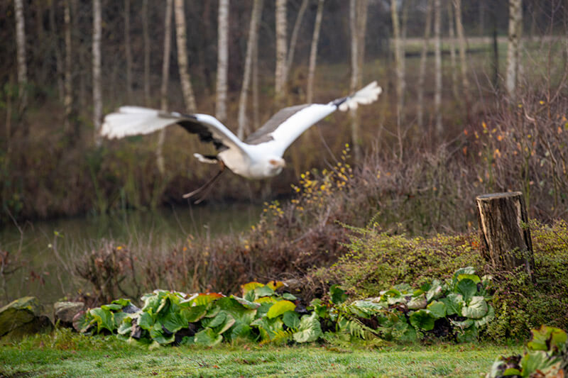 FF_onscherpe-fotos-voorkomen_1 foto's onscherp tips