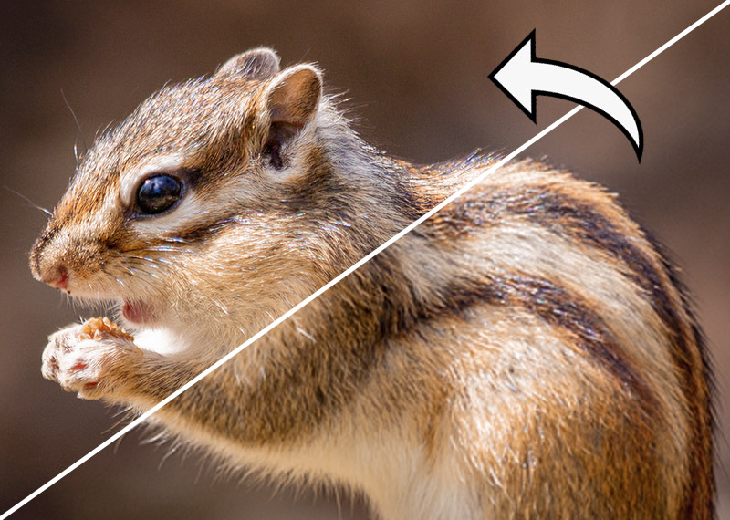 FF_foto-hogere-resolutie-maken-photoshop foto vergroten resolutie photoshop