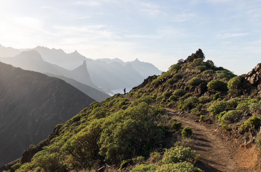 fotoreis voor beginners tenerife