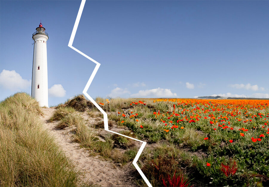 FF_tutorial-foto-vergroten-generative-fill-photoshop foto vergroten generative fill photoshop