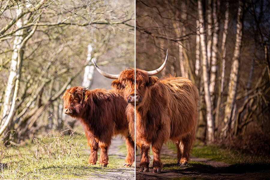 FF_Vignettering-in-fotografie_1 vignettering in fotografie