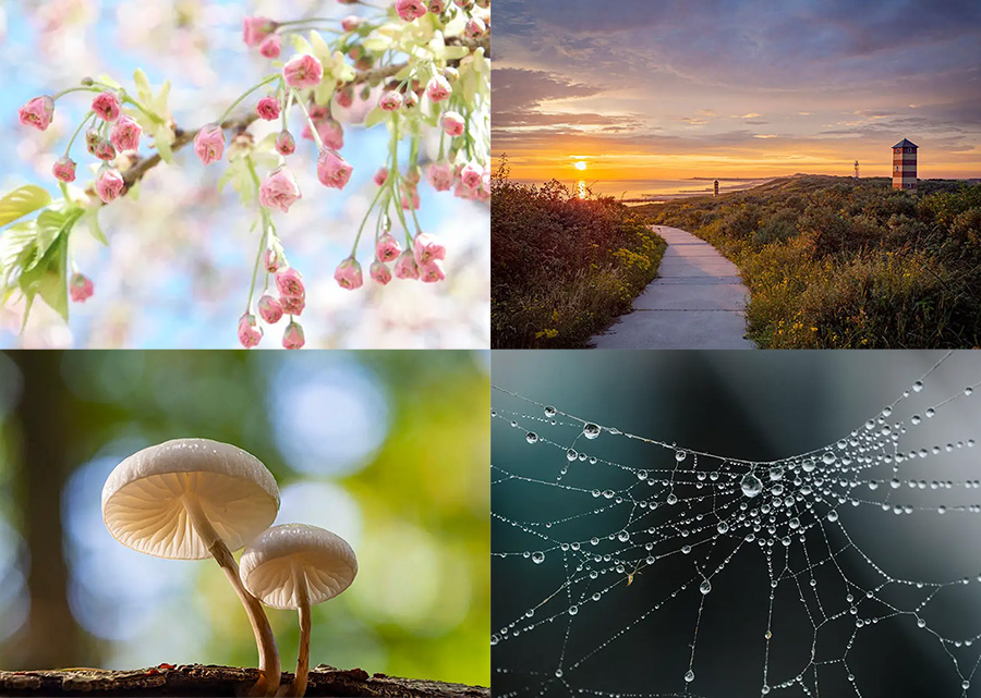 fotograferen in welke maand