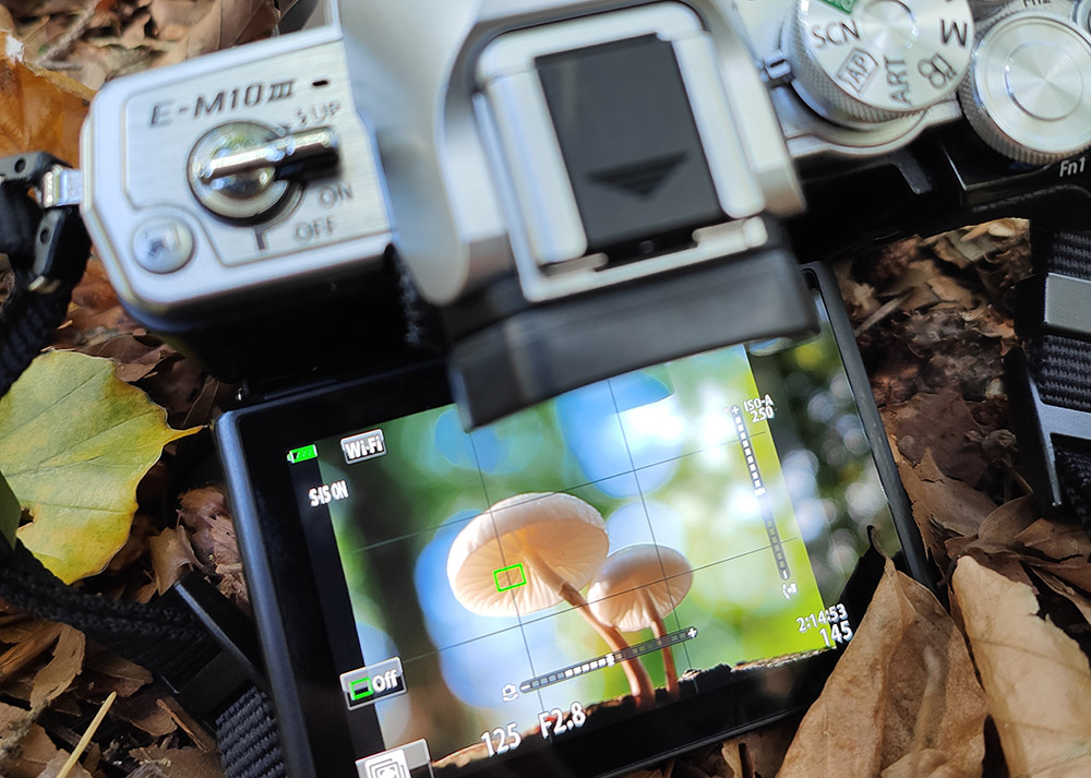 Leren fotograferen praktische gratis tips