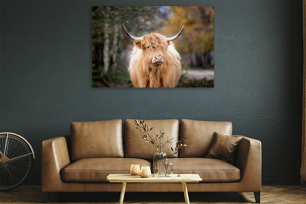 foto op aluminium afdrukken tips