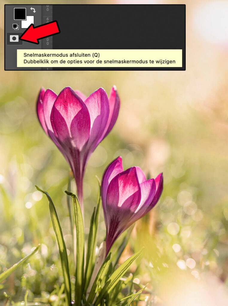 foto omzetten naar olieverf schilderij in Photoshop, tutorial.