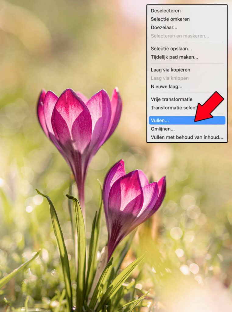 foto omzetten naar olieverf schilderij in Photoshop, tutorial.