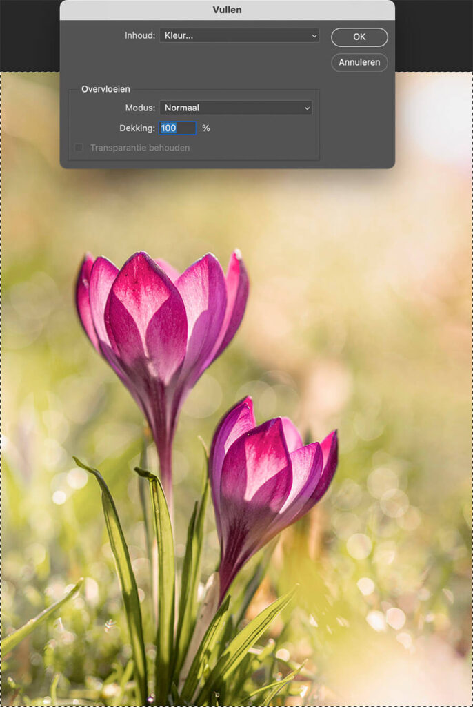 olieverf schilderij maken van je foto