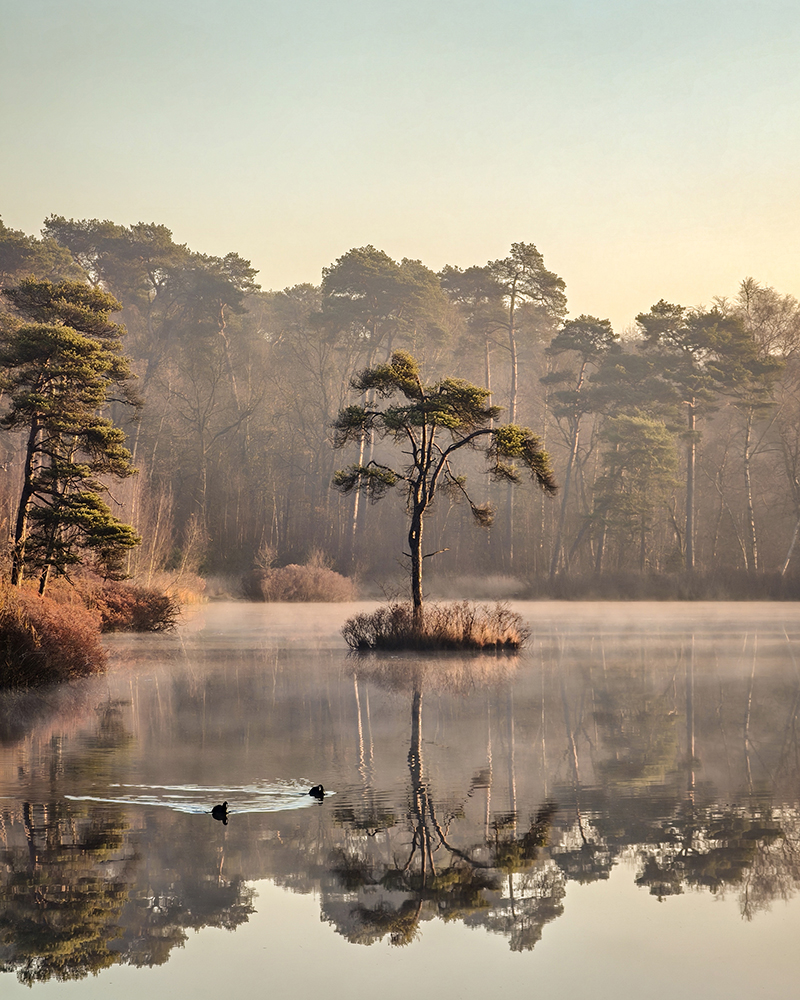 Natuurfotografie met je smartphone