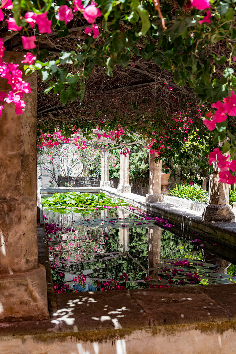 fotograferen in Mallorca stad tijdens je vakantie