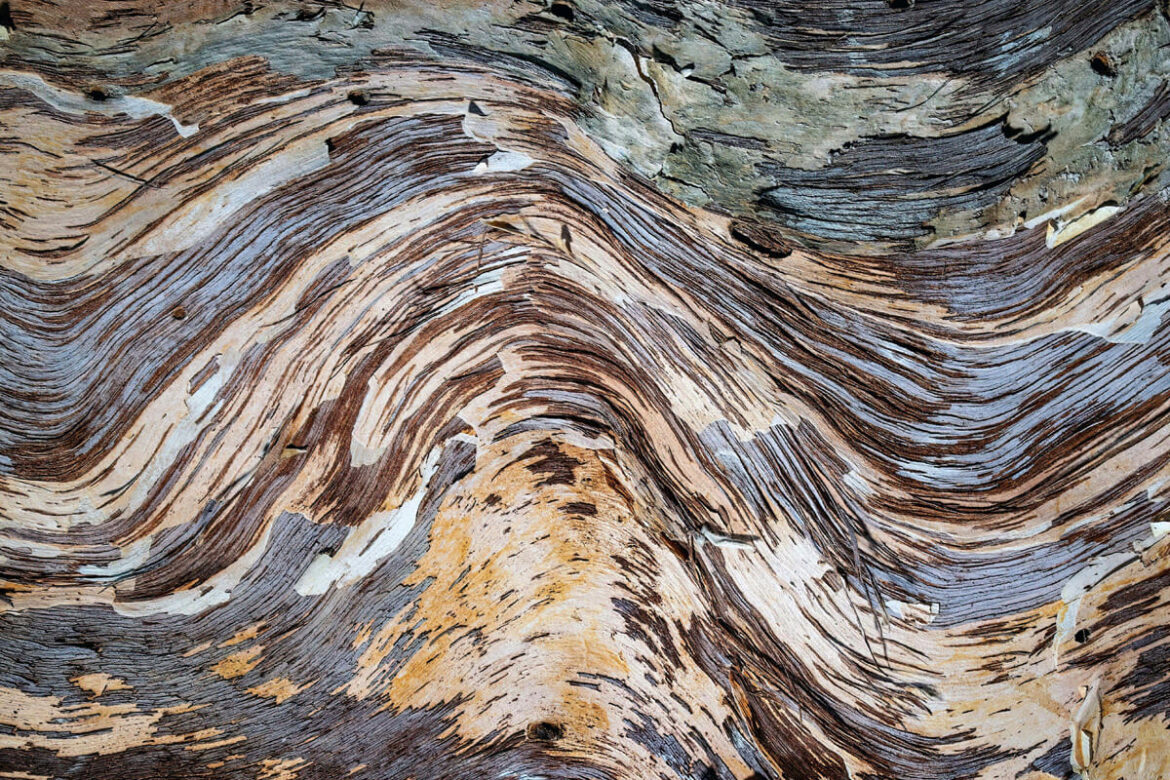 Abstracte natuurfotografie tips en inspiratie