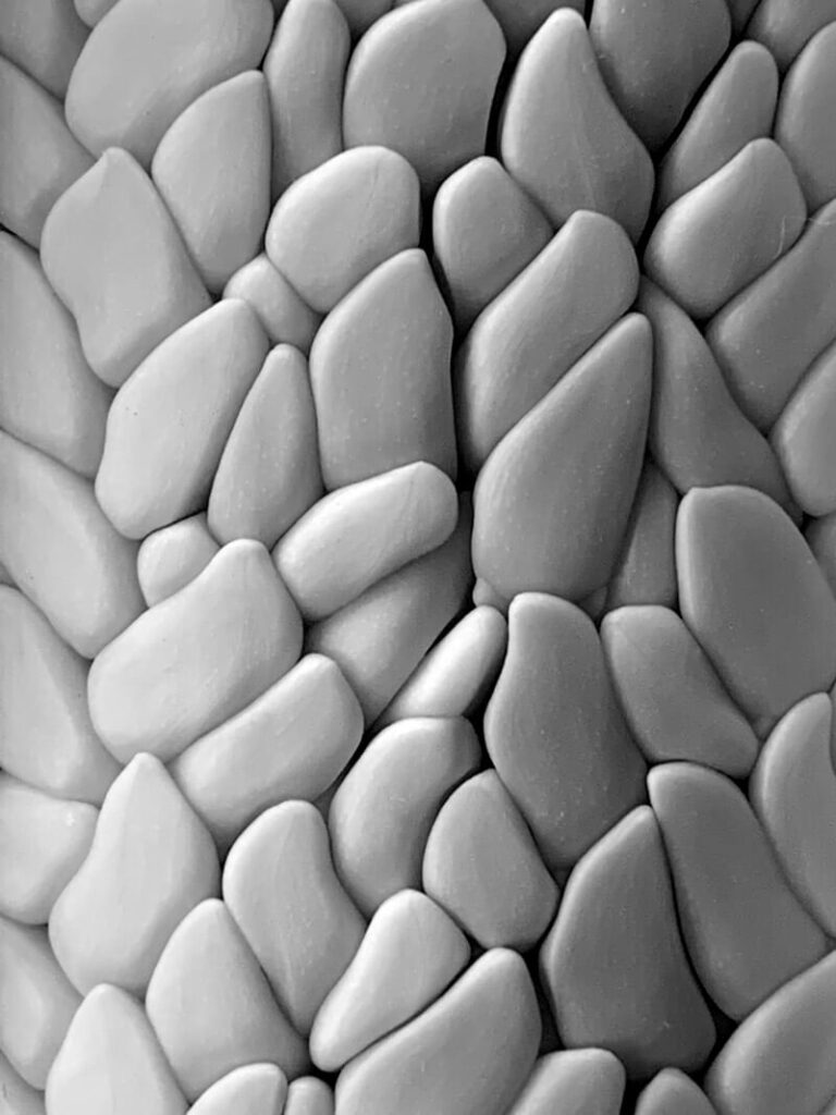 fotograferen van abstractie