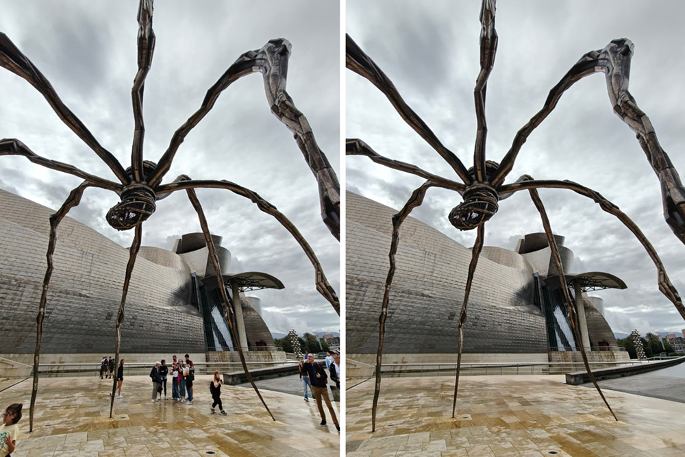 FF_foto-bewerken-met-AI_1 je foto's bewerken met AI in fotobewerkingsprogramma's