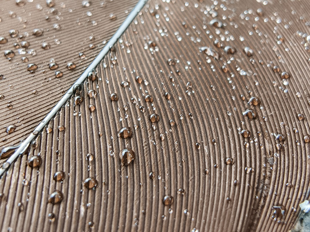 OPPO Find X9 Pro smartphone camera