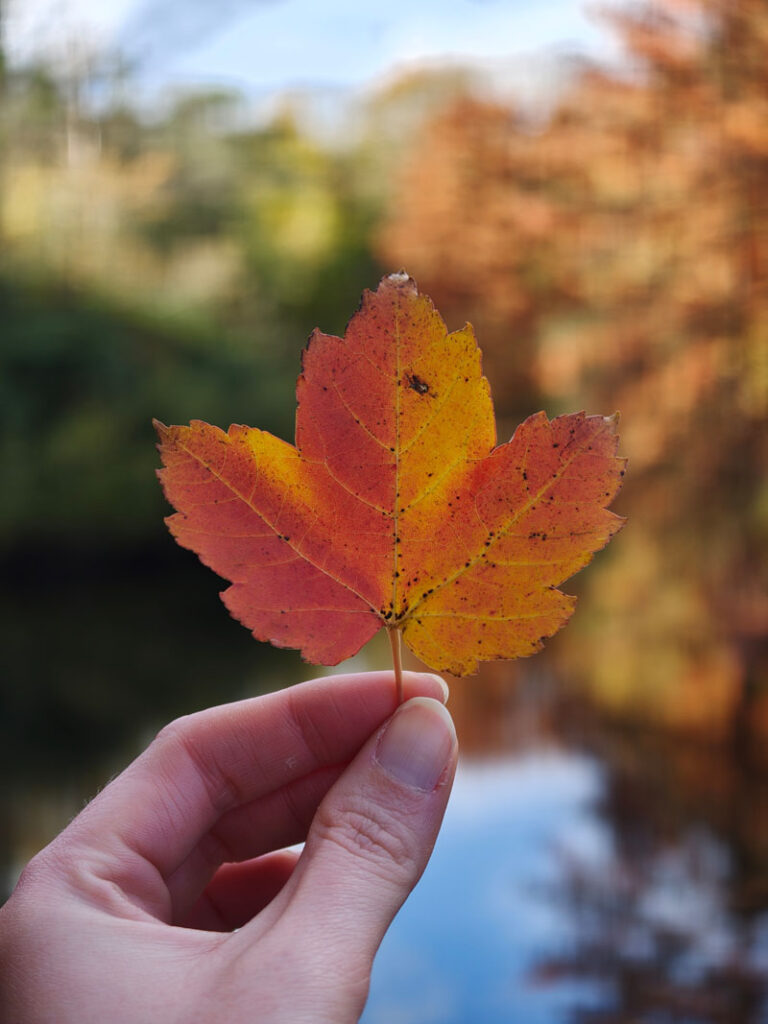 OPPO Find X9 Pro smartphone camera