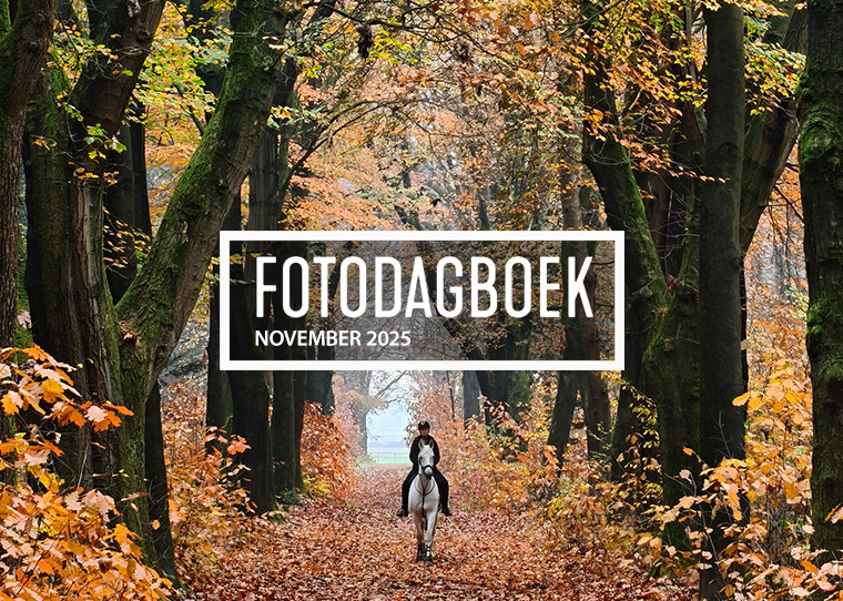 fotodagboek november 2025
