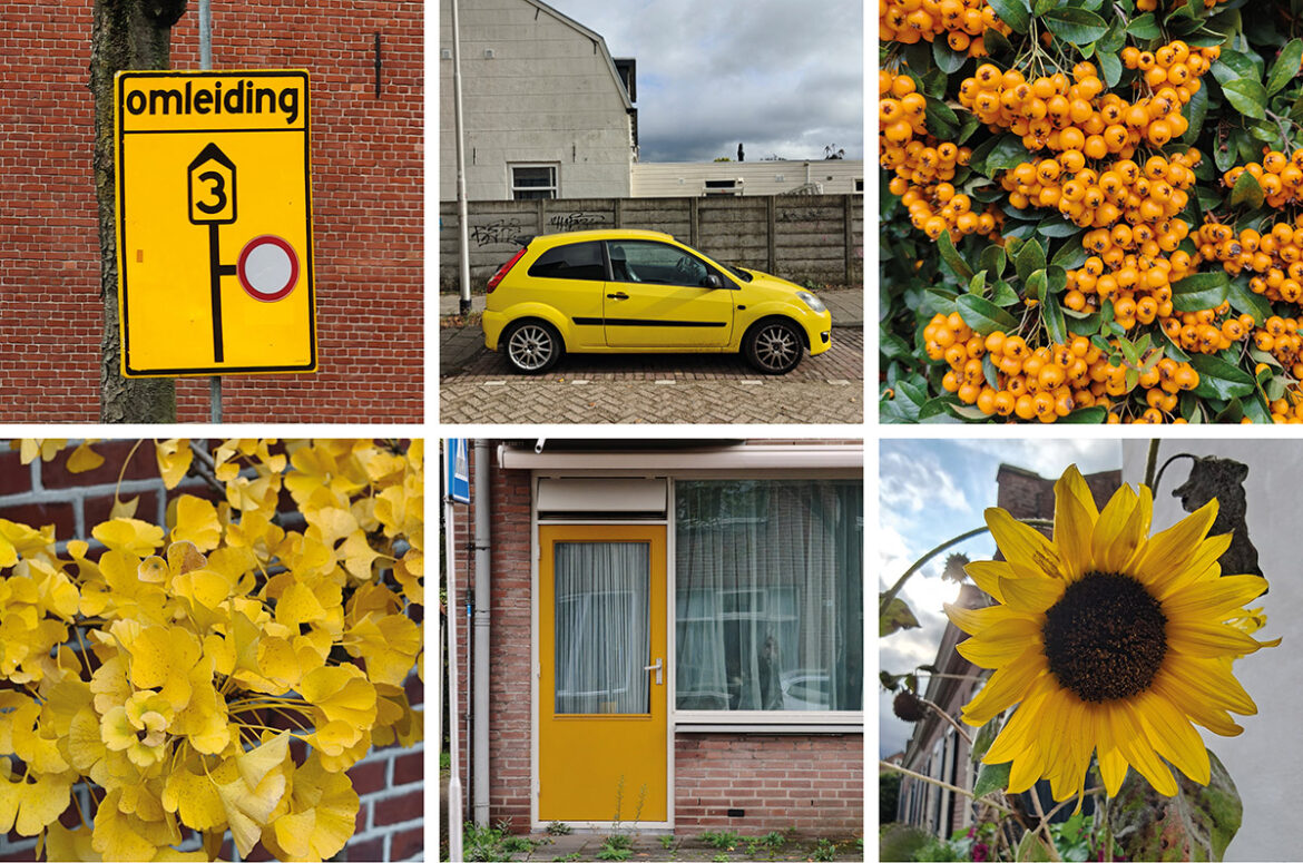 Creatieve fotografie opdrachten voor 2026