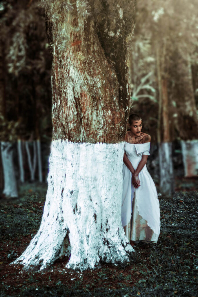 Wat is fine art fotografie?